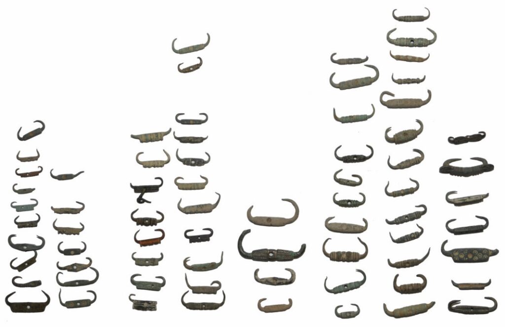 Il exitste de nombreuses formes et variantes d’agrafes à double crochets. On distingue les corps plats, rectangulaires, cylindriques.