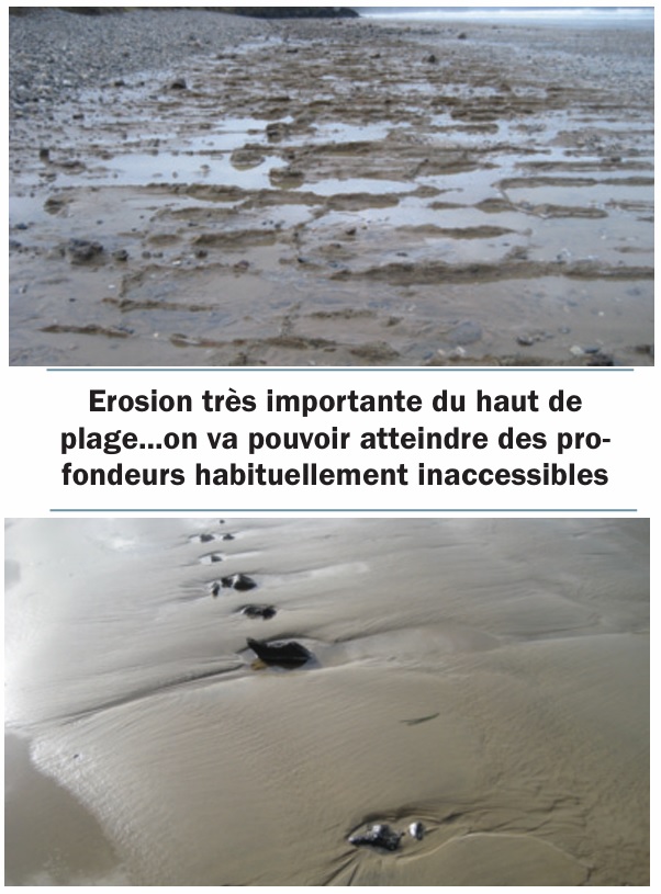 Érosion très importante du haut de plage… on va pouvoir atteindre des profondeurs habituellement inaccessibles.