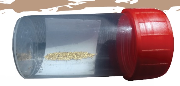 j'ai trouvé 0.3 gr. L'an dernier 2.6 gr.